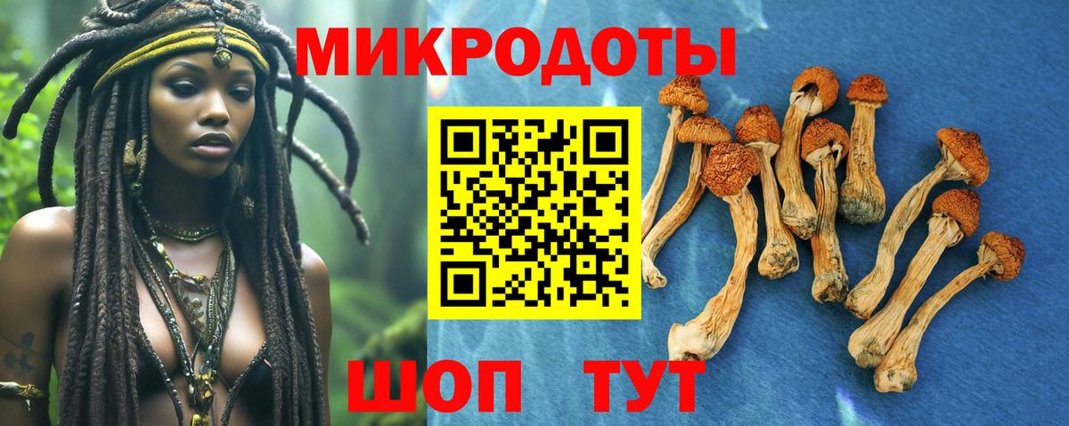 Псилоцибиновые грибы MAGIC MUSHROOMS Фрязино